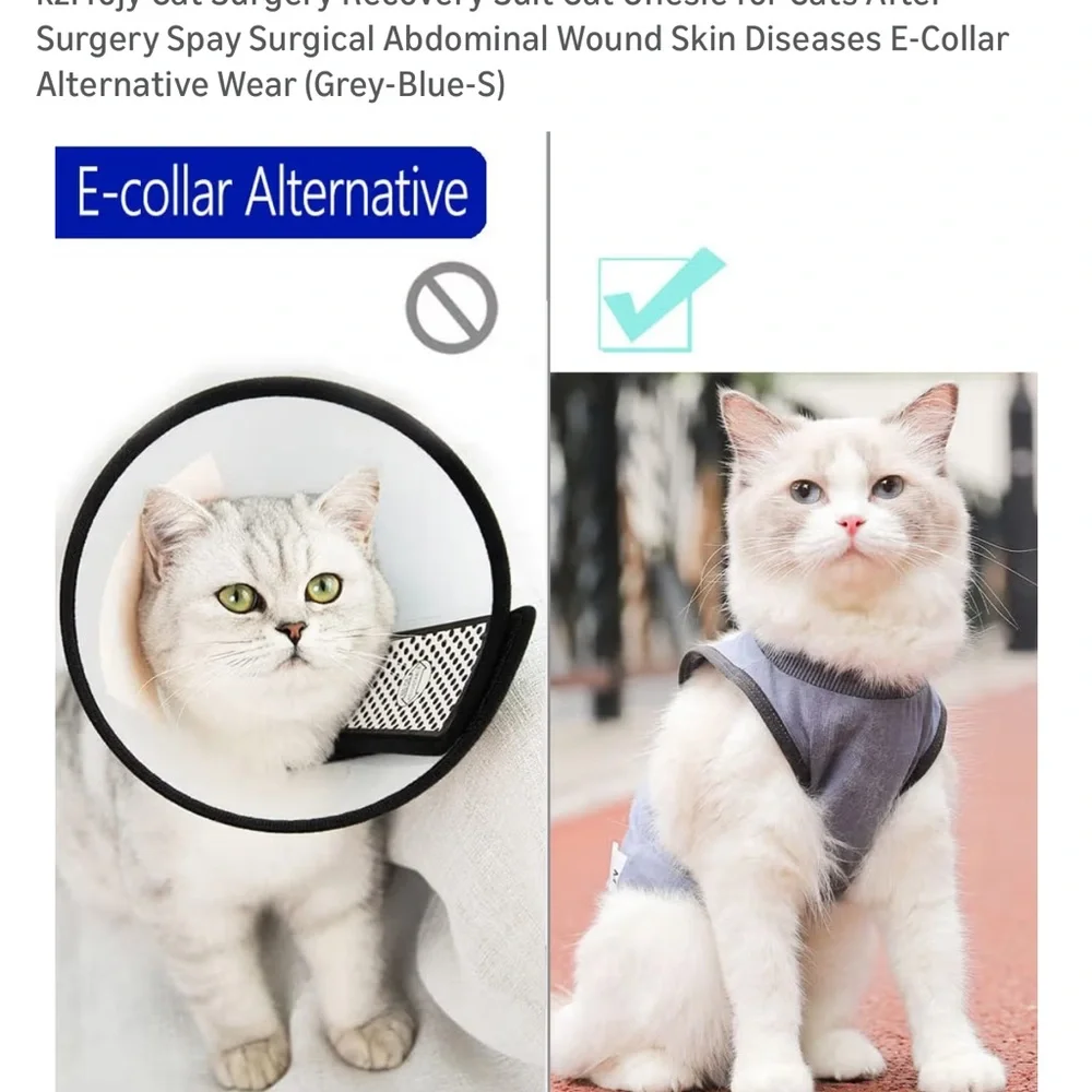 Cat Size Small- Gray-Blue Surgical Recovery Suit